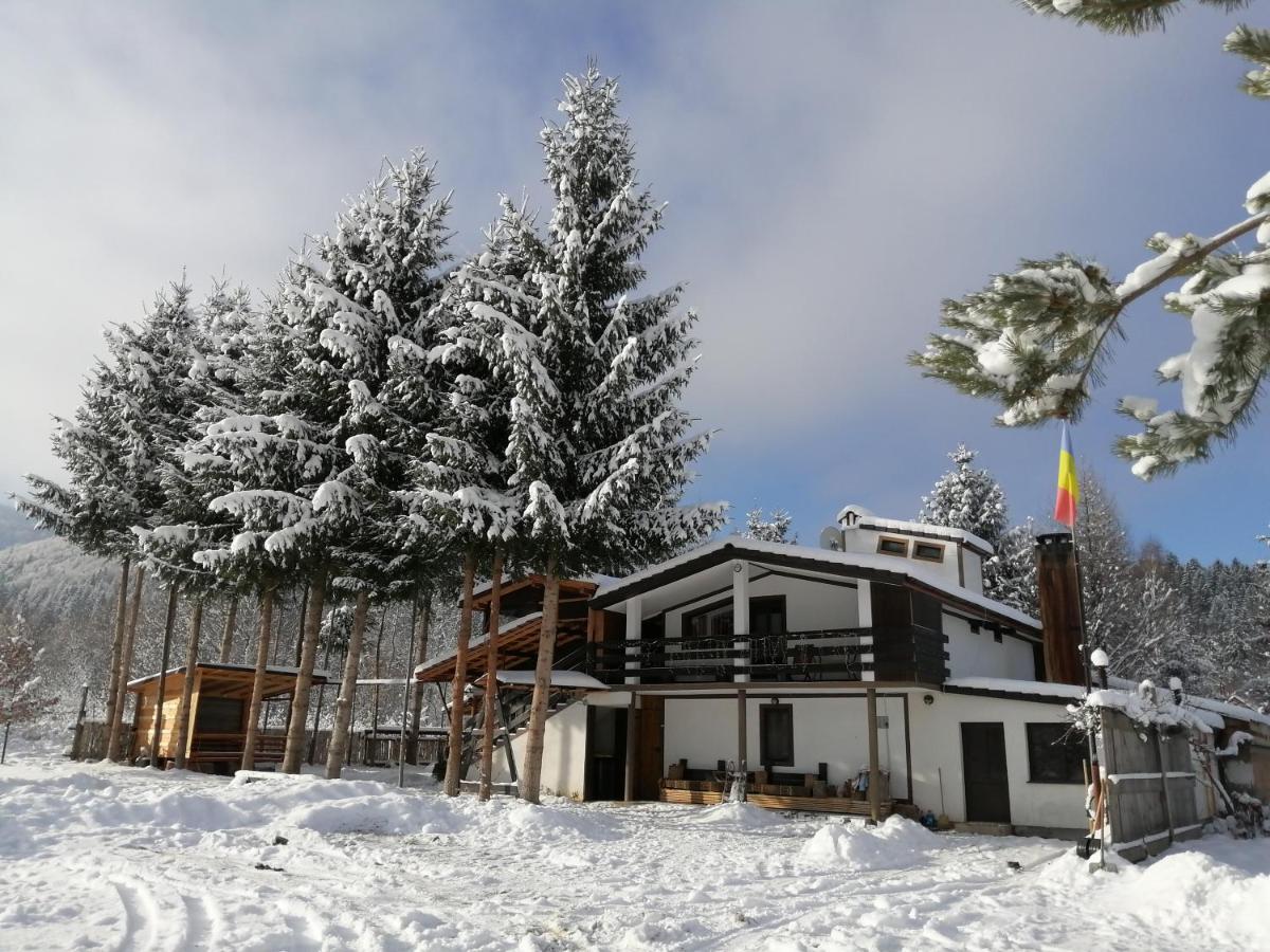 Отель Alpinlife Dejani Экстерьер фото