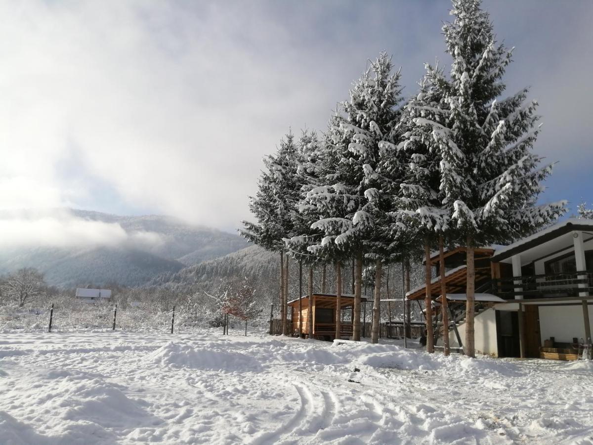 Отель Alpinlife Dejani Экстерьер фото